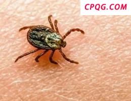 伊朗为何损失严重 防空短板暴露无遗
