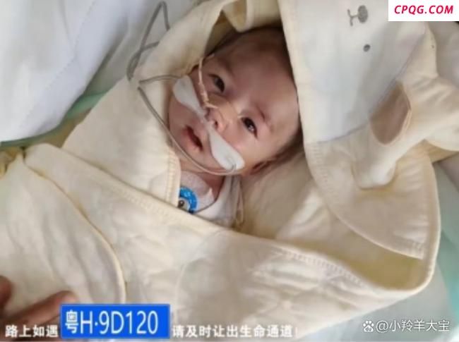 男子将重症孩子从南昌转运到上海 跨越1600公里的生命接力