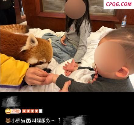 酒店小熊猫叫早服务引争议