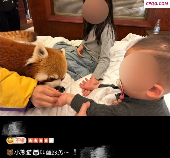 林业局为啥叫停小熊猫服务