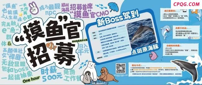 公园月薪3万招摸鱼官每天工作2小时