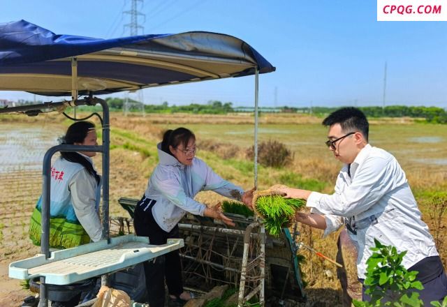 江苏农林职业技术学院：科技助农促丰收