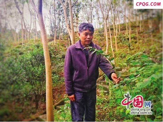 湖南泸溪张祖金：打造百姓致富“良药”(图)