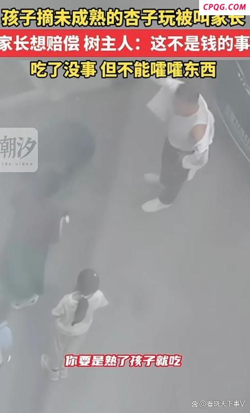 孩子摘没熟的杏玩被叫家长