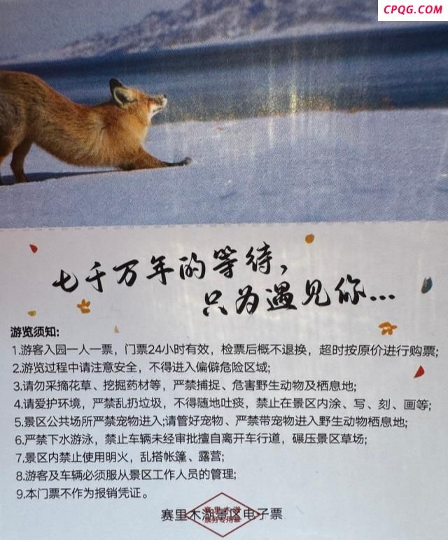新疆赛里木湖景区SUV玩漂移