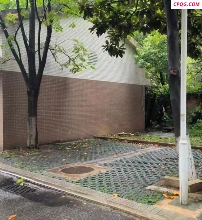 律师解读副教授遭精神病人杀害 侵权责任争议再起