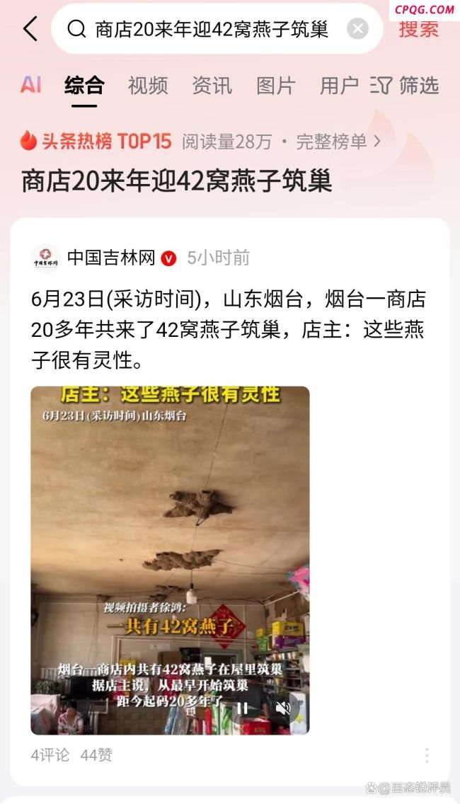 一商店20多年共来了42窝燕子筑巢