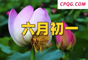 惠东荔枝果园上演甜蜜代言秀 小小文明实践特派员助力