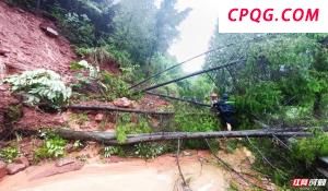 上海6.2万份高考成绩单投递 今日起陆续送达