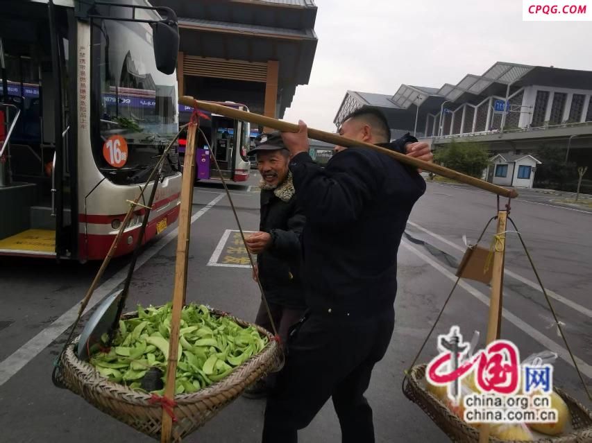 张家界公交十米车厢显“城市旅游窗口”精神高度
