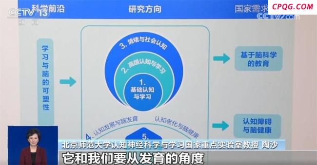 央视揭露“脑屏”骗局 培训机构虚假宣传