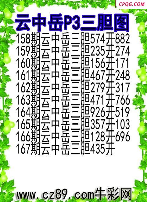 25年167期云中岳P3三胆图