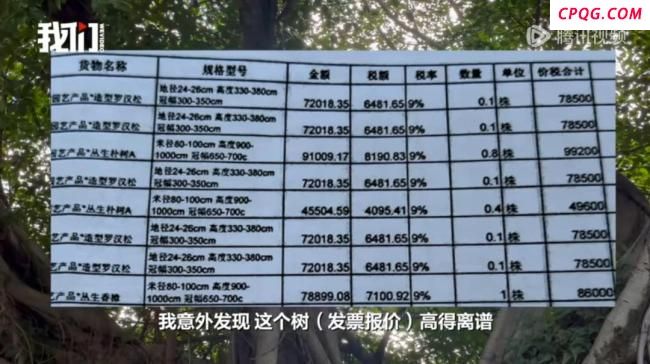 福建一公园多棵80万“天价树”死亡 绿化项目疑云重重