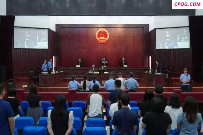 两人造谣大熊猫被虐获刑