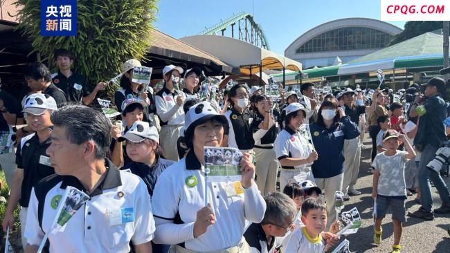4只旅日大熊猫已平安抵达成都 中日团队护航归途