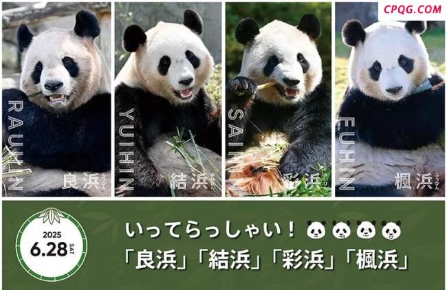 4只旅日大熊猫已平安抵达成都 中日团队护航归途