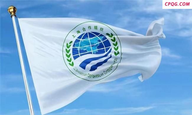 印度想做金砖上合老大？专家解读
