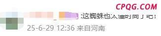 女子在车上发现“人脸蜘蛛”
