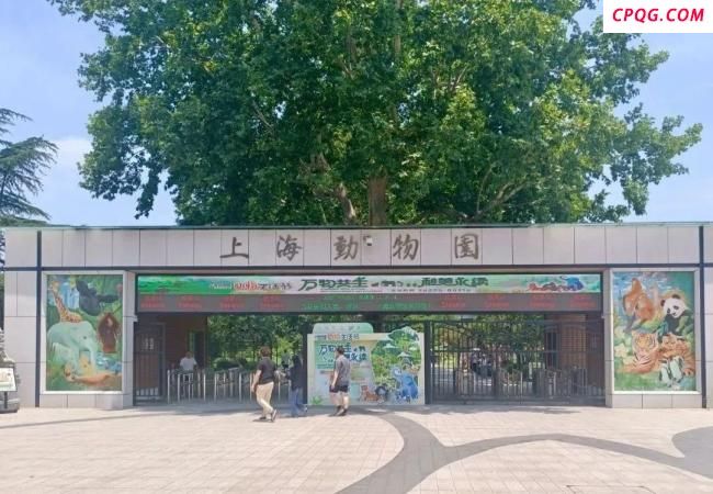 上海动物园回应婴儿展馆内喝奶被赶 母婴设施争议再起