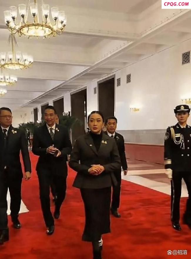 佩通坦被停职 柔性外交为何“翻车”