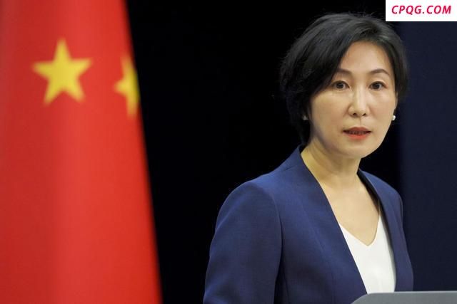 佩通坦在被停职前是否留了后手 内阁改组寻后路