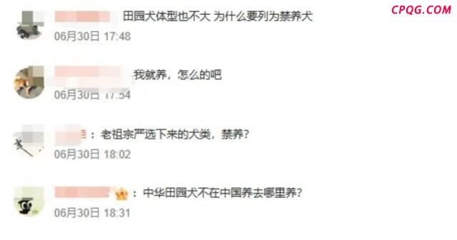 中华田园犬为何是禁养犬 多地政策调整引发热议