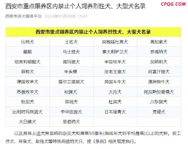 中华田园犬为何是禁养犬 多地政策调整引发热议