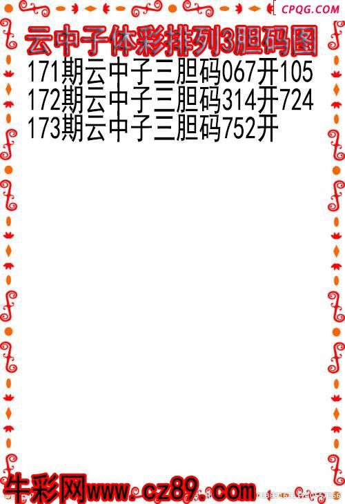 25年173期云中子体彩排列3胆码图