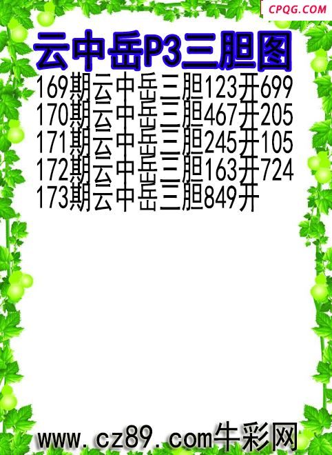 25年173期云中岳P3三胆图