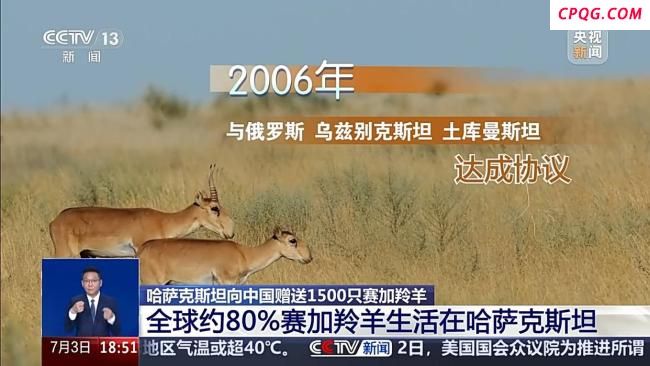 哈萨克斯坦向我国赠赛加羚羊