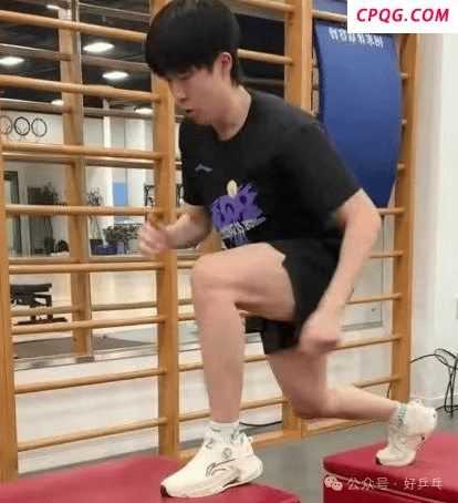 国乒WTT美国大满贯赛前训练画面公开