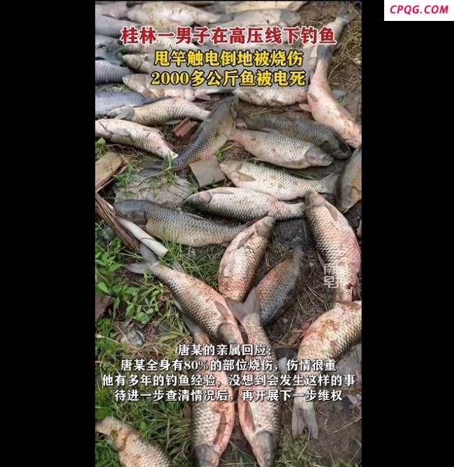 男子在高压线下钓鱼触电倒地被烧伤