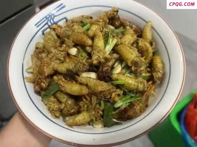 小伙跑杭州抓知了一天净赚2000 市场需求火爆