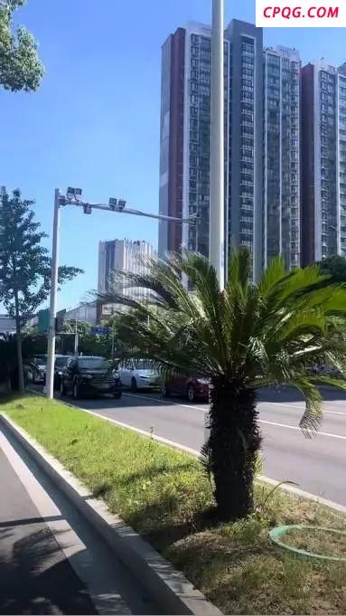 交警：车辆避晒式等红灯违法