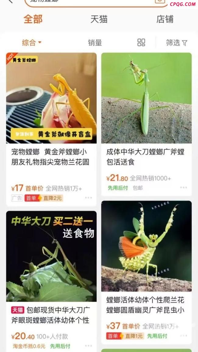 业主错杀邻居所养的宠物螳螂 邻里因异宠起争执