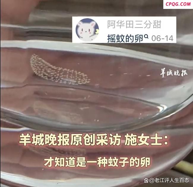 女子喝半杯隔夜水后发现蚊子卵 夏日饮水需谨慎