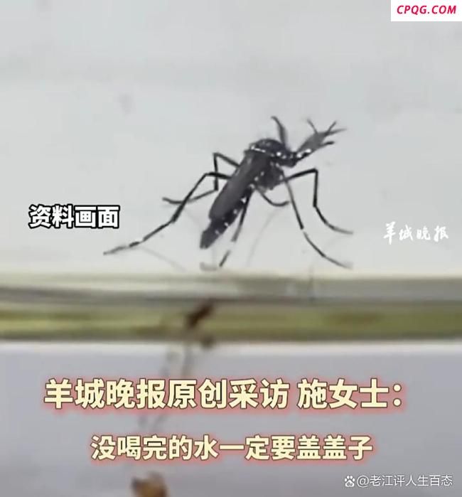 女子喝半杯隔夜水后发现蚊子卵 夏日饮水需谨慎