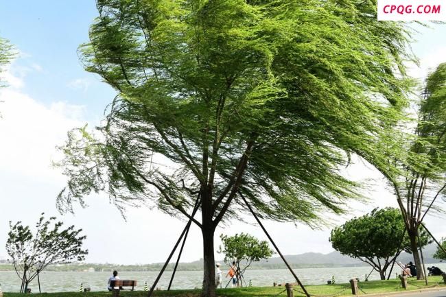 专家：今年浙江台风影响偏早偏重 夏季台风多于去年
