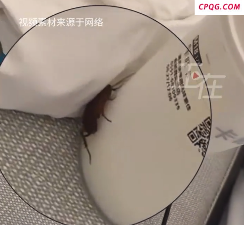 女子住亚朵酒店花洒漏水又遇蟑螂 酒店回应：可能是附着行李箱进入，后续会加强消杀