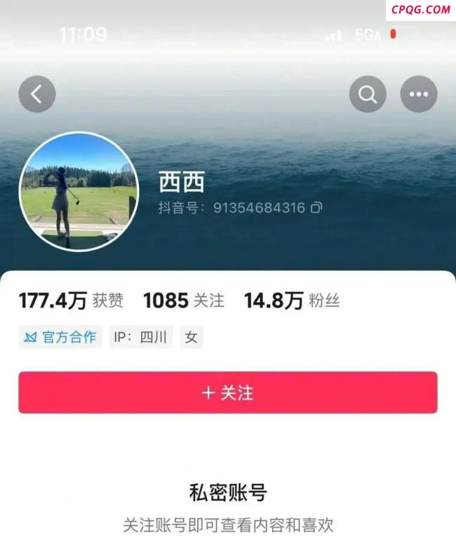 网红律师西绿已被刑拘 假身份诈骗案曝光