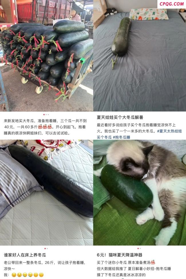“抱冬瓜睡觉”需要注意什么