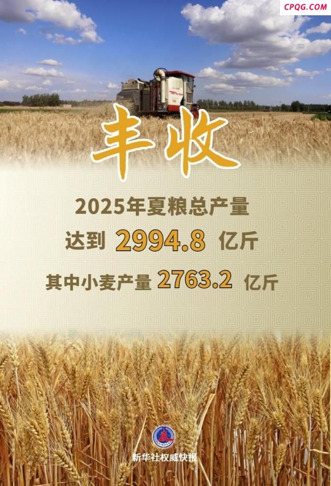 今年全国夏粮实现稳产丰收