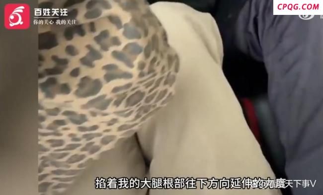 女子拼车遇猥亵上演教科书式反制 冷静求助智斗恶行