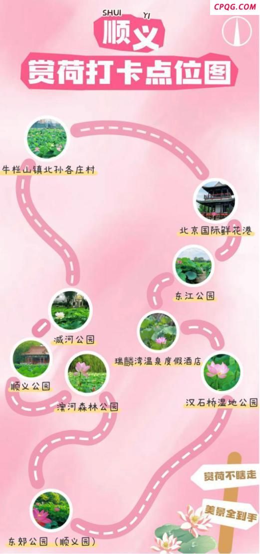 第23届顺义公园荷花展开幕 赏荷观非遗