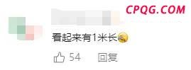 有网友家中出现“巨型蟑螂” 实为覆翅螽引发热议