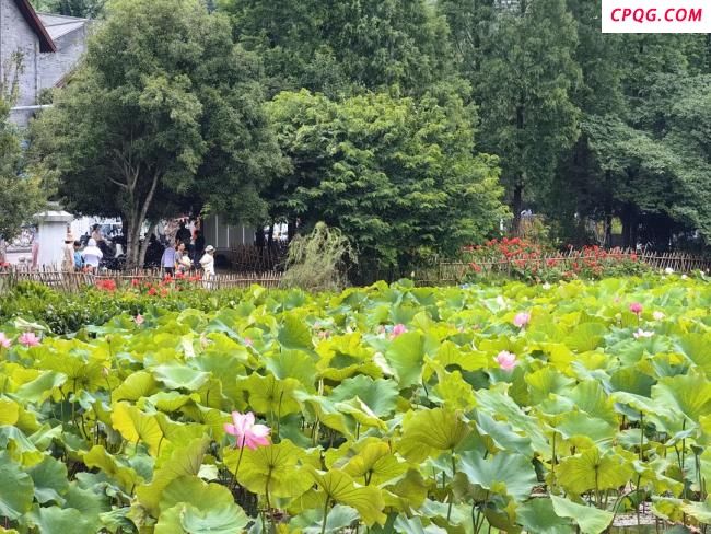中国避暑之都贵阳多地人气爆棚 连续六年入选养老栖息地前三