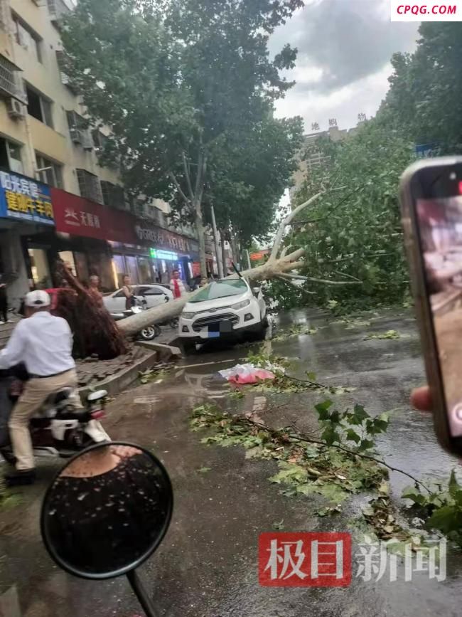 河南淅川突刮9级以上雷暴大风 狂风暴雨致多处受损