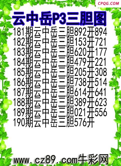 25年190期云中岳P3三胆图