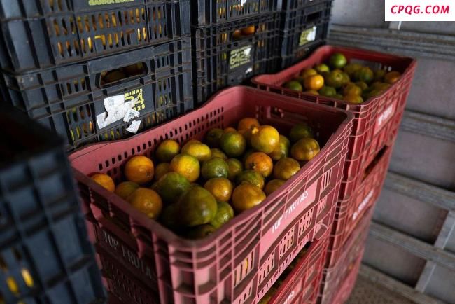 美加征关税影响巴西约7.7万吨水果出口