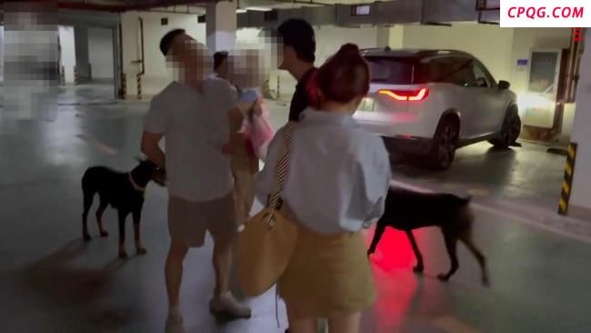 路人与未拴绳杜宾犬主人激烈争吵